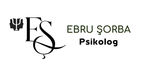 Web Tasarım , Hatay Web Tasarım , Hatay Web Design ,  Macam Soft